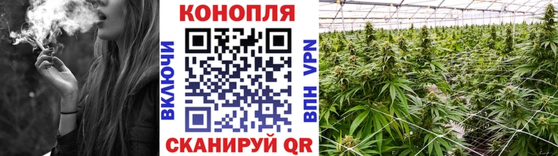 Бошки марихуана White Widow  маркетплейс наркотические препараты  Уварово 